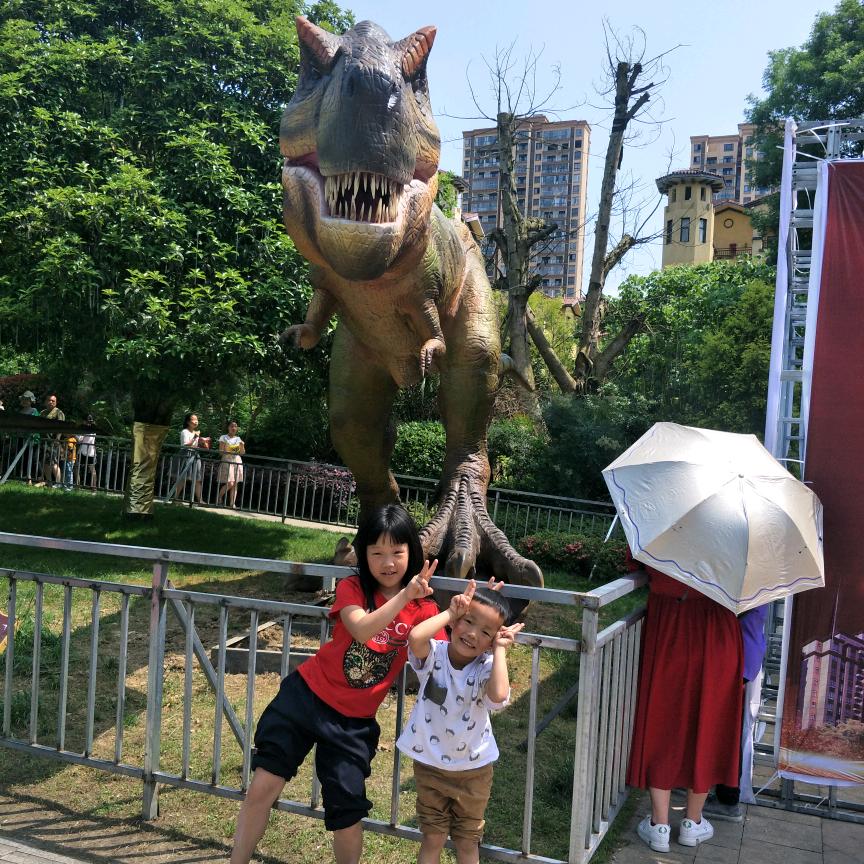 玻璃渣子里找糖吃