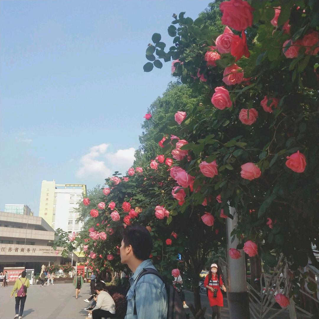 国民男神戴某人