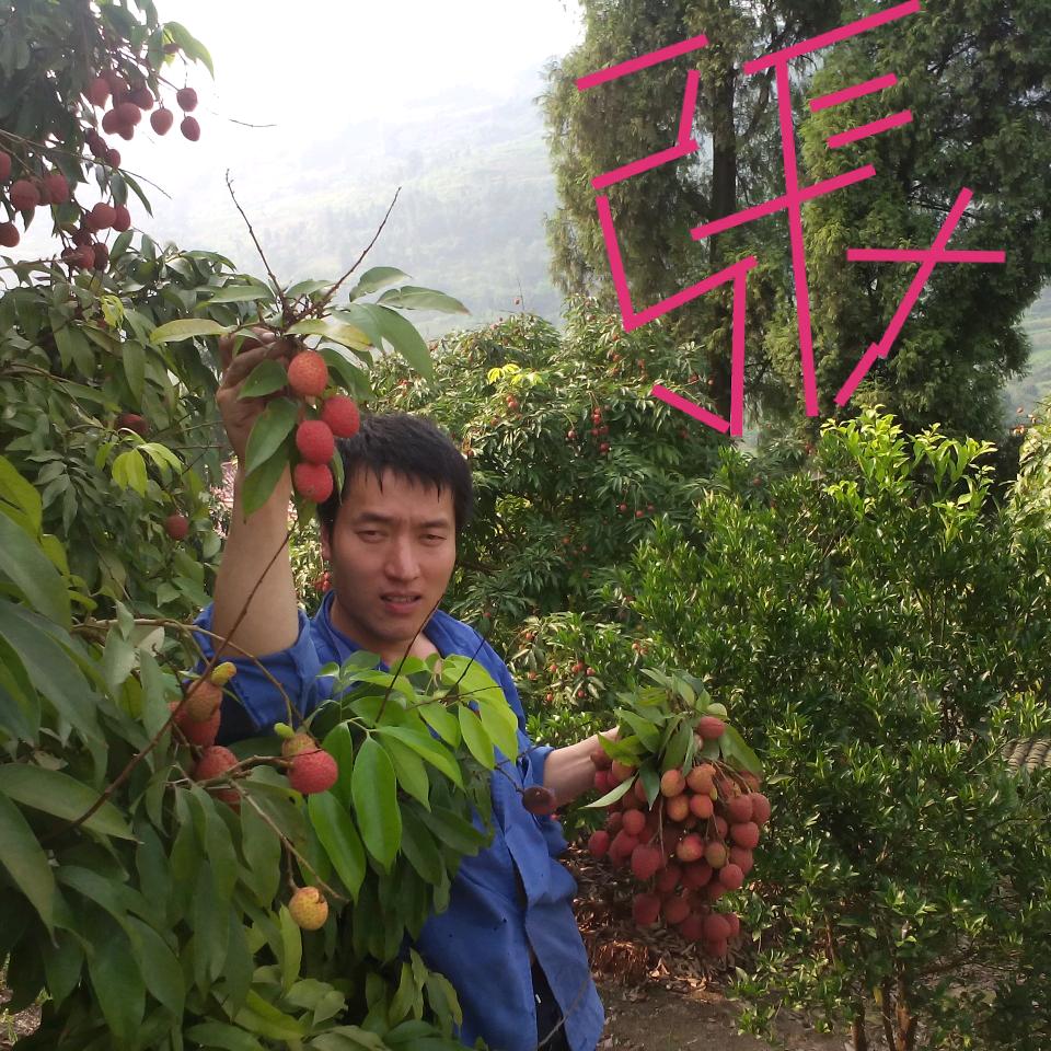 真诚