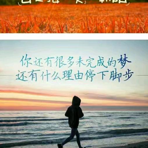 光速鸽苑