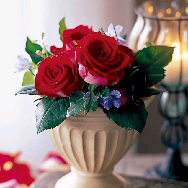 ໑ຼₒ₂₅💸᭄ꫛ旧巷孤影꧔ꦿ᭄💰