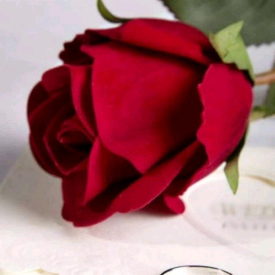 🦋家和万事兴🦋