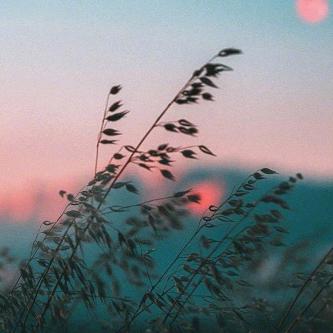 🍃过往的曾经🍃