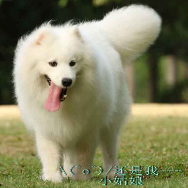 颖杰
