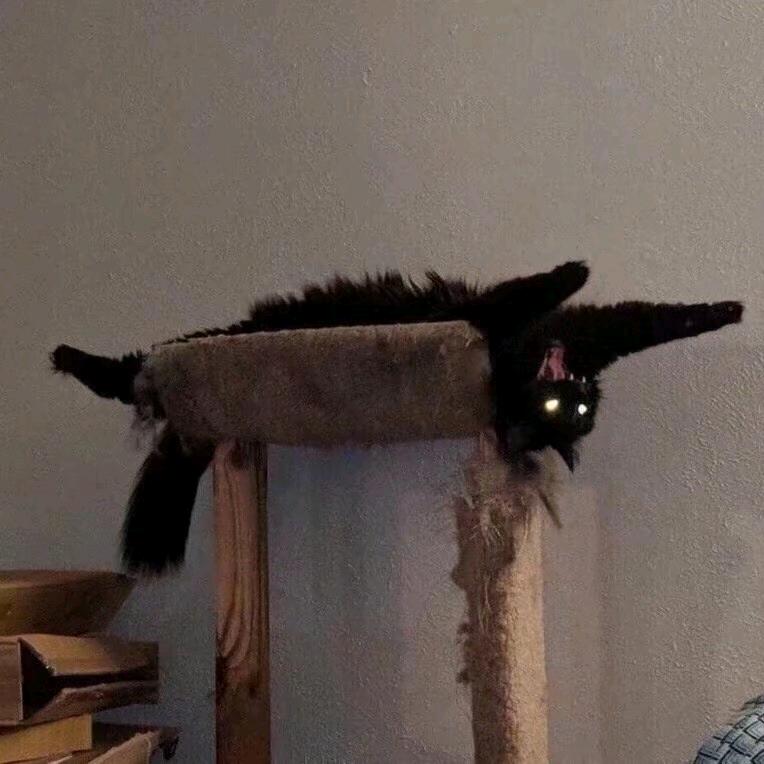 妍坨坨
