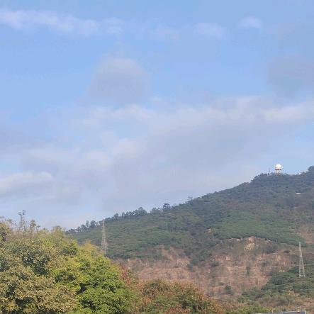 飞✈翔