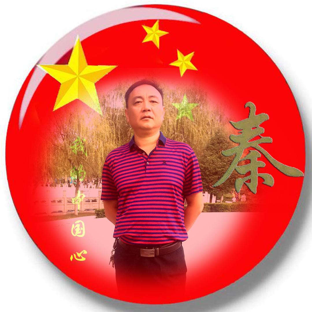 秦伟