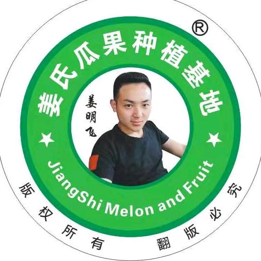 禧瓜宝姜明飞