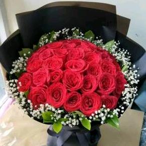 阿花鲜花，绿植
