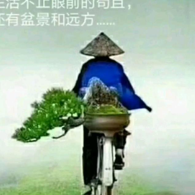 张志国
