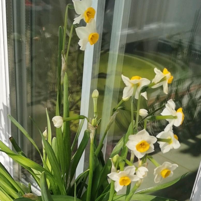 用户6033079516080自由的云朵