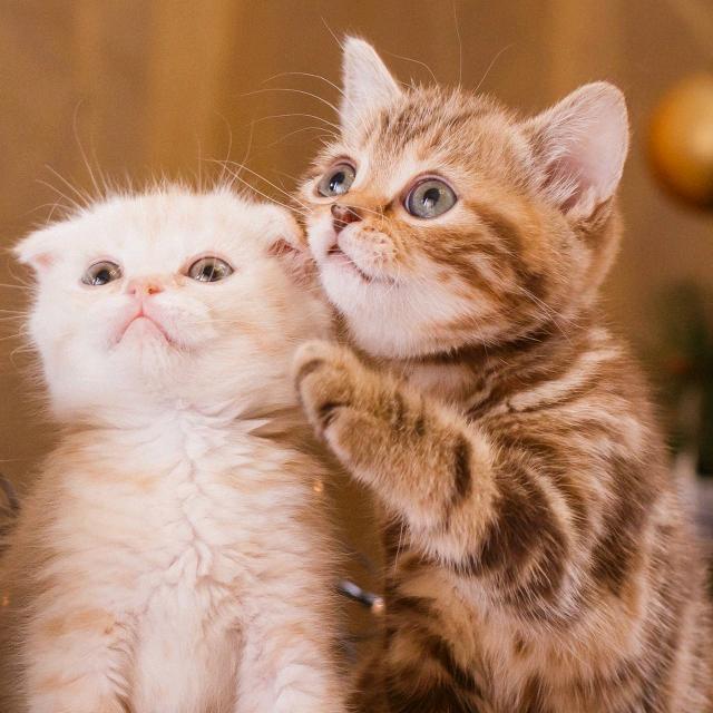 柳暗花明又一村