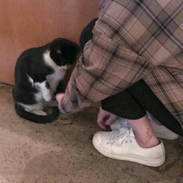 林外十二月