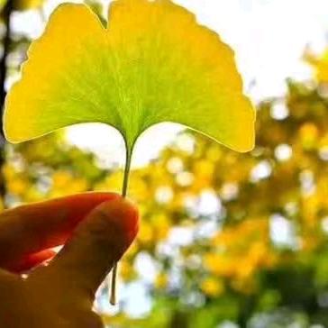 淮安陈姐房产咨询