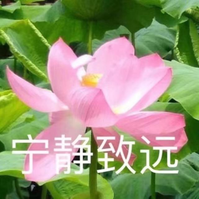 唐姐