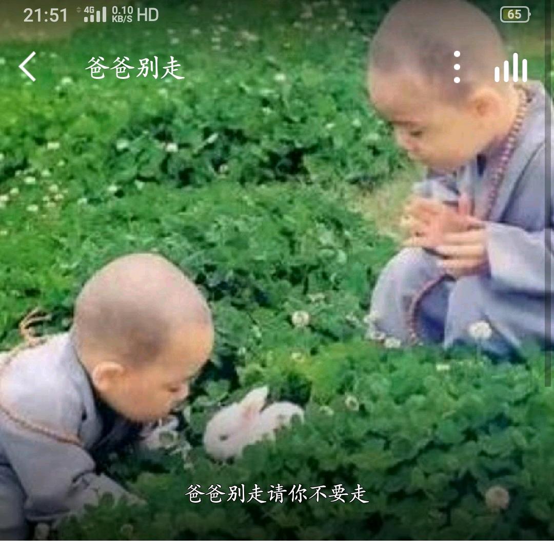☘️阿梅