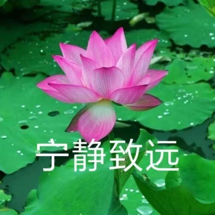 马秀