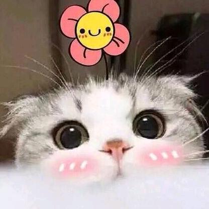 樱花味的萌萌糖