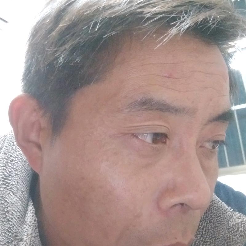 牛转乾坤