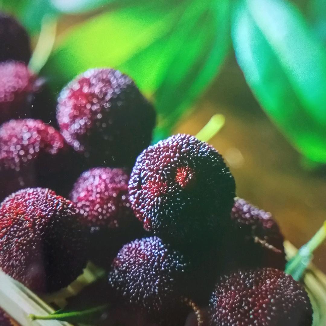 天使的翅膀