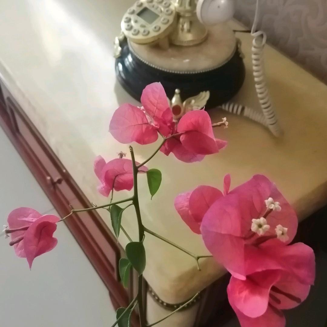 弘章