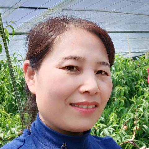 凡妈早6:11