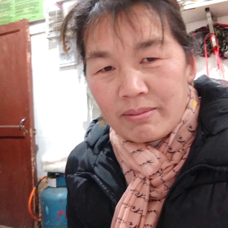 轻轻的问候