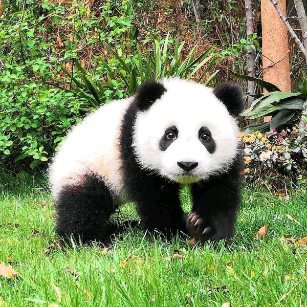 初升的太阳☀️