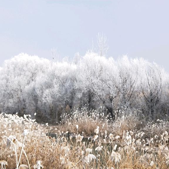 。飞奔的小伙。