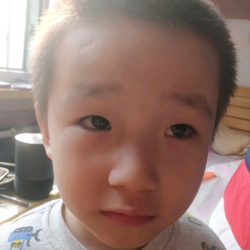 陈传俊