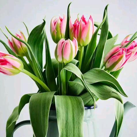 封心✌︎( ᐛ )✌︎锁爱