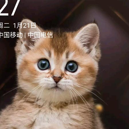 记时器