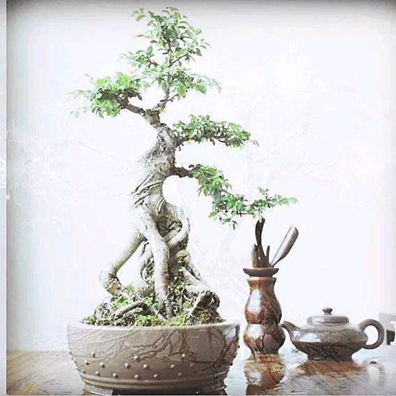 桥下板面