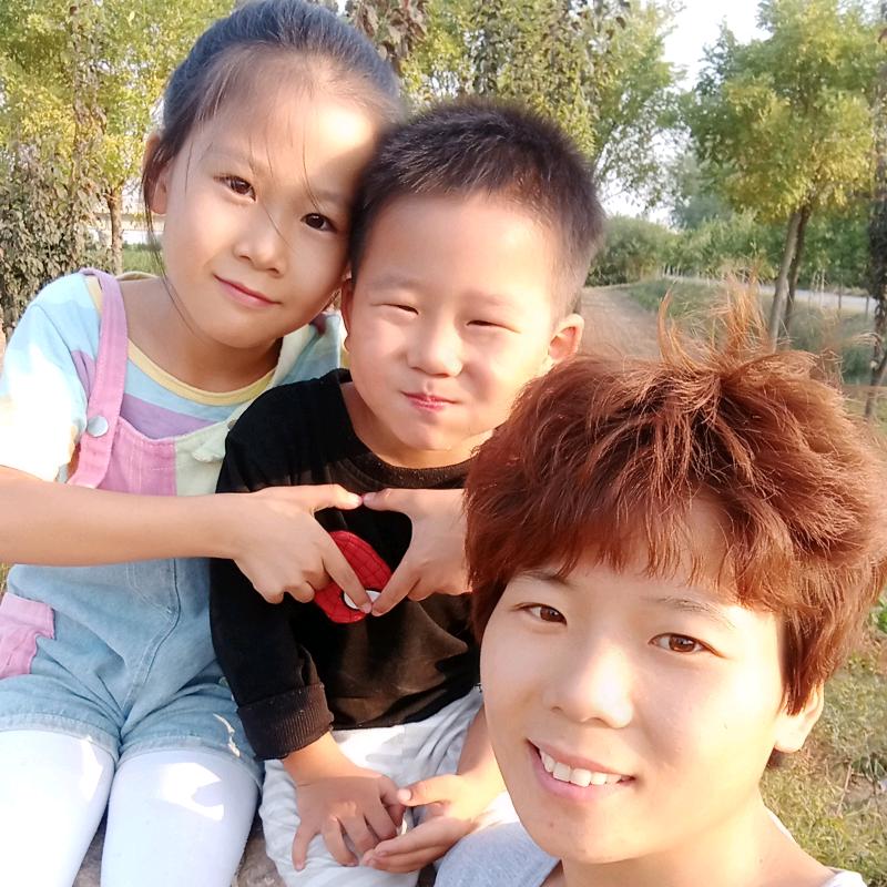 许昌小马果树苗
