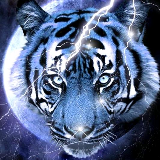 耀叔🐯