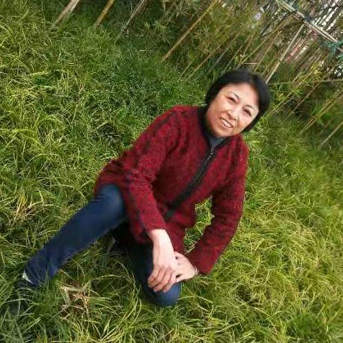 杨兴华