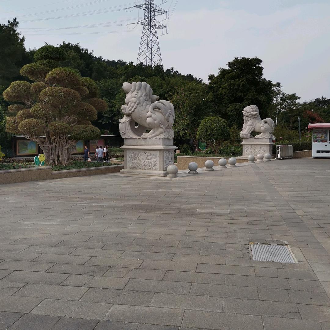 一生所爱