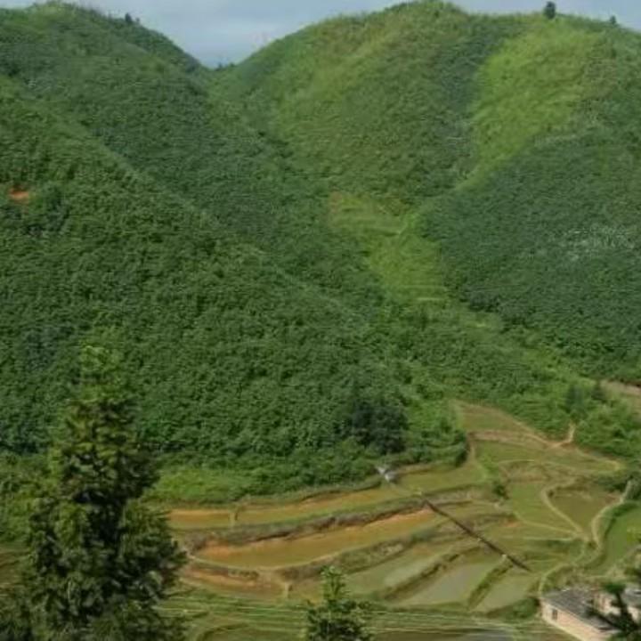 ★這★傷★痕★疼★