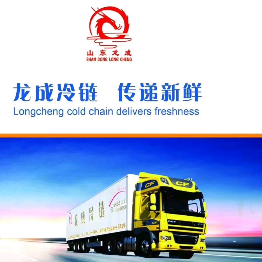 聊城市龙成物流有限公司