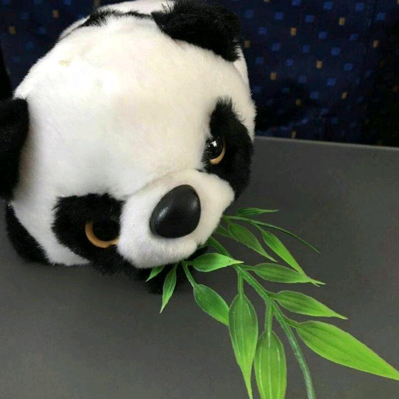 一叶扁舟