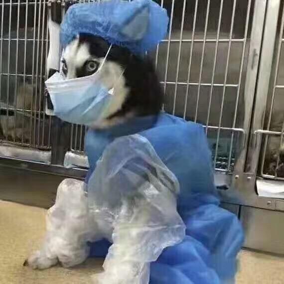 忙着生活