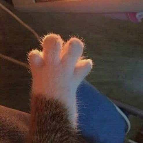 林不亏