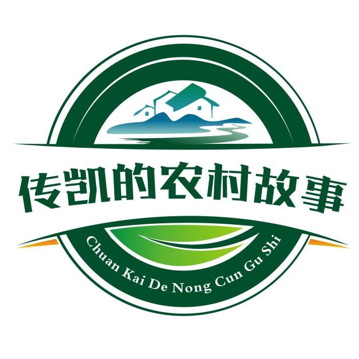 传凯的农村故事