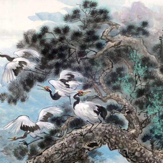 缘