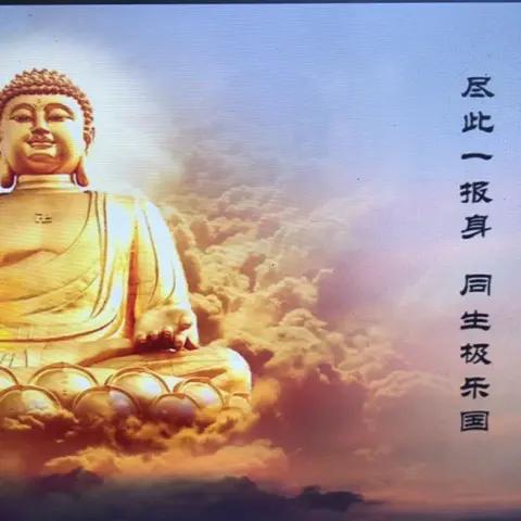 在蒙阴做中医的老马