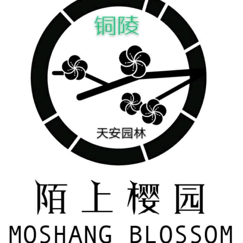 浙皖樱业
