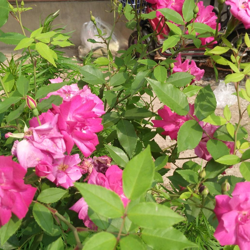 用户明天更美好