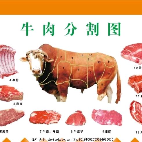 国际庄 鲁希冻品  军哥