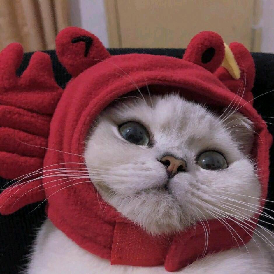 美好未来