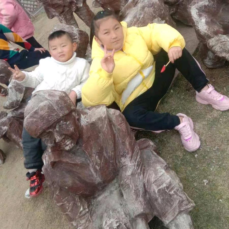 榕锋柠三宝